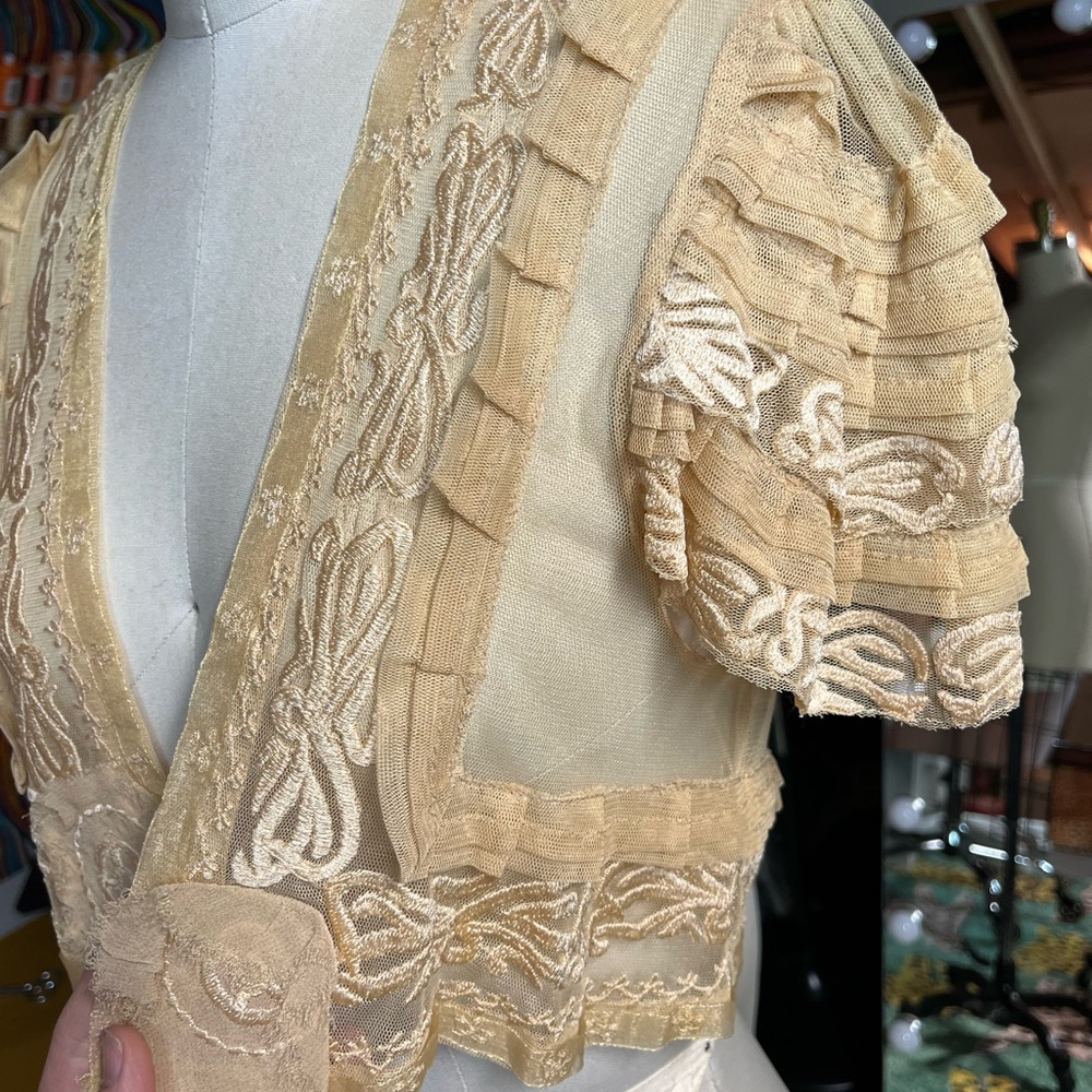 Champagne net embroidered bed jacket - Picture 2 of 4